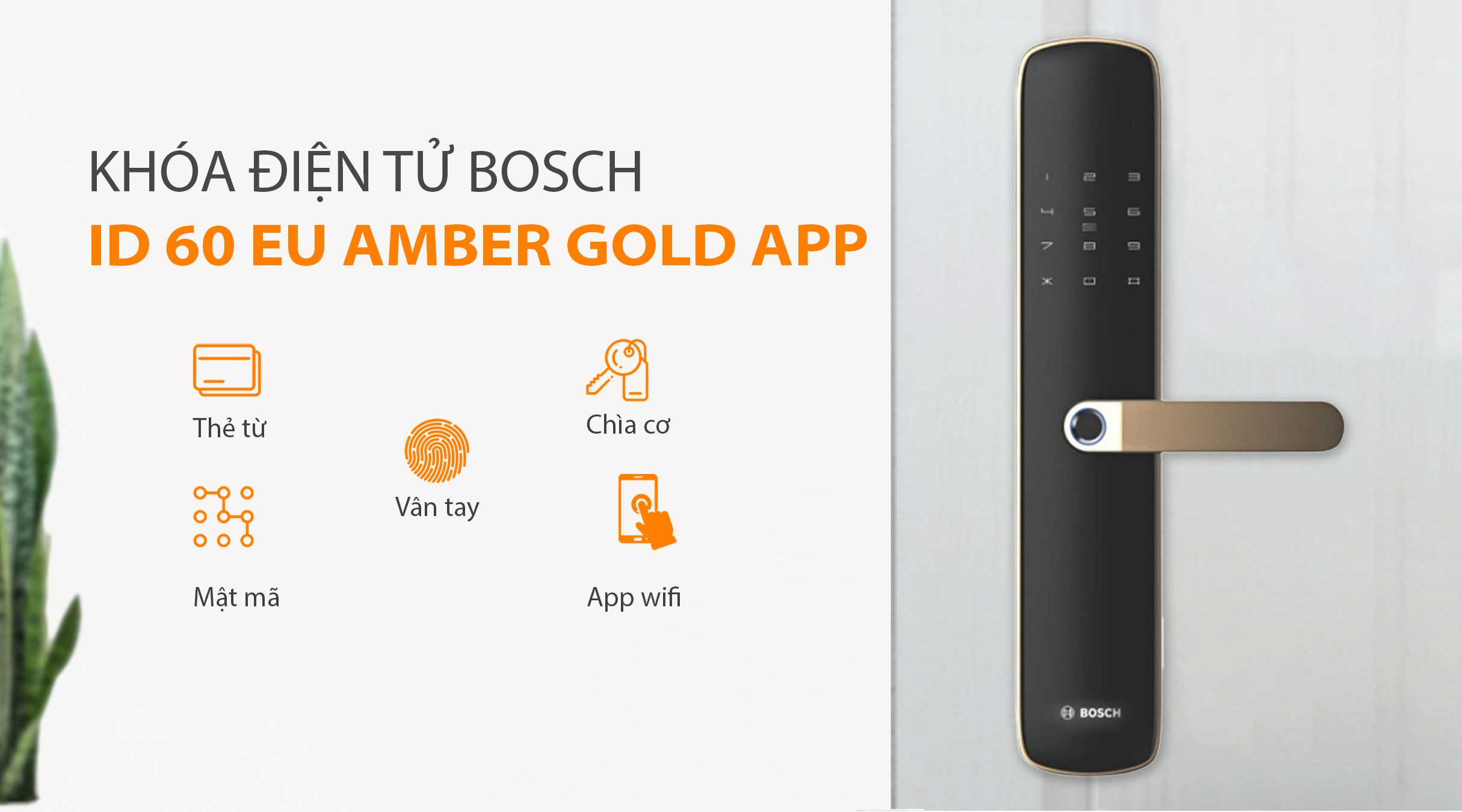 Cách mở khóa BOSCH ID 60 EU AMBER GOLD APP